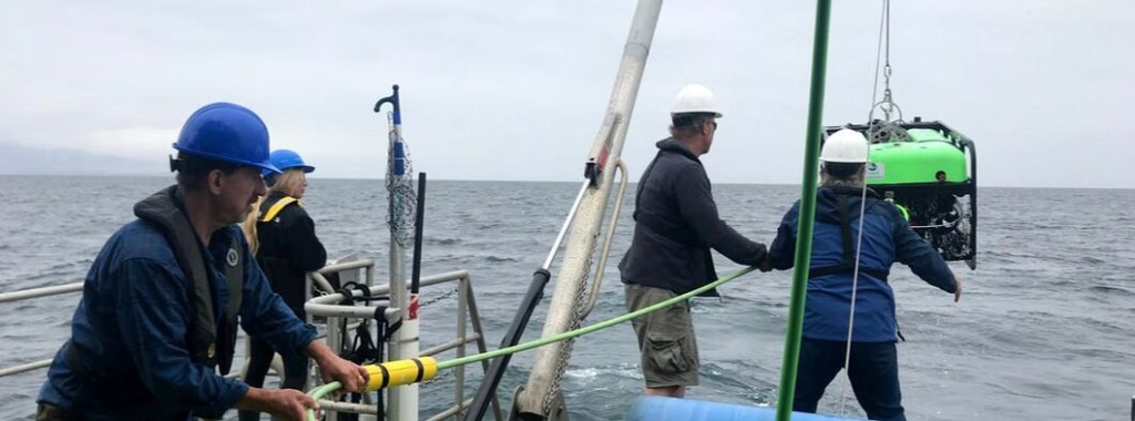 Sea Cucumber Survey (Spring) May 2018 1