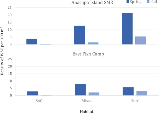 March 2019- Assessment of Warty Sea Cucumber Abundance at Anacapa Island 10