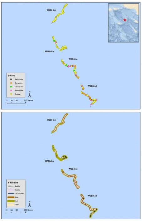 June 2017 - Oceana Deep sea Coral and Sponge 2017 Final Report 37