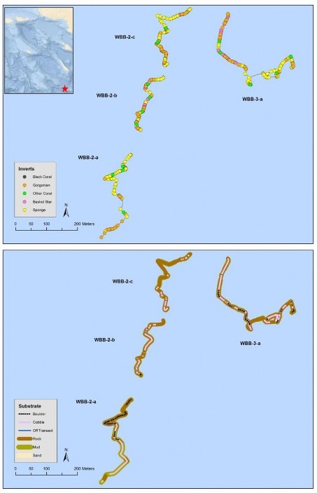 June 2017 - Oceana Deep sea Coral and Sponge 2017 Final Report 74