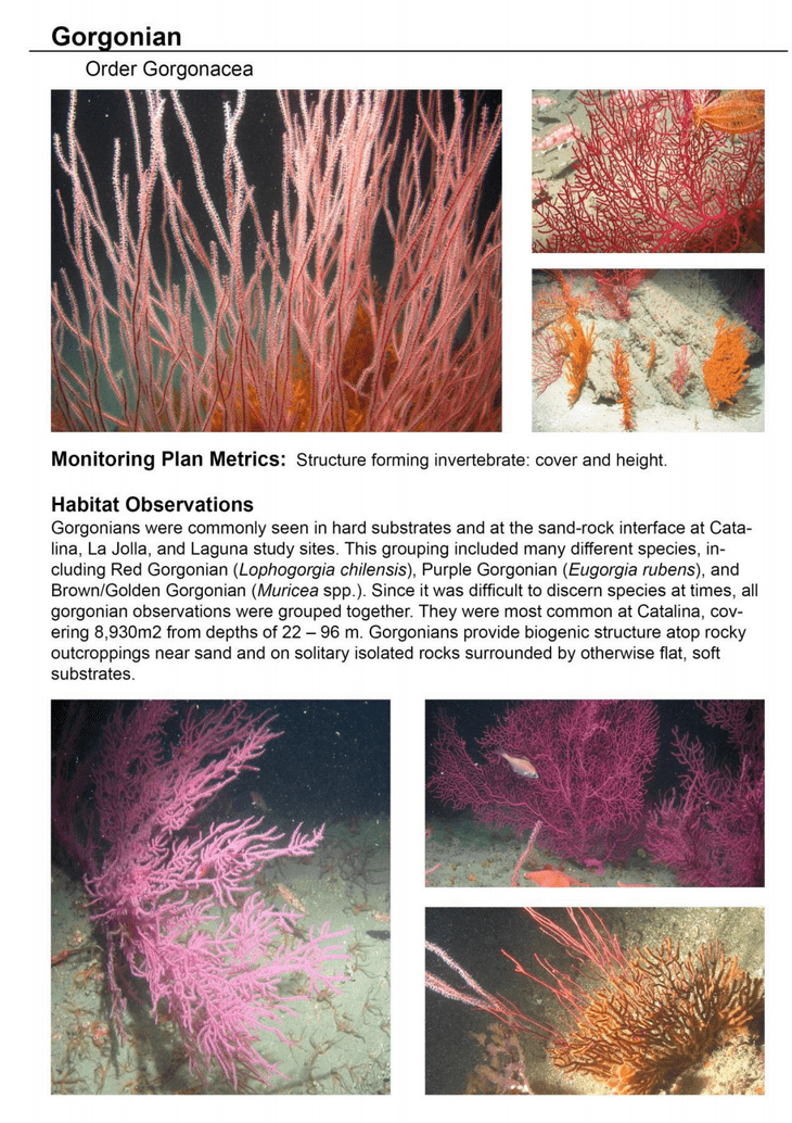 Jan 2015 - South Coast Marine Protected Areas Baseline Characterization and Monitoring of Mid-Depth Rocky and Soft-Bottom Ecosystems (20-350m) 187