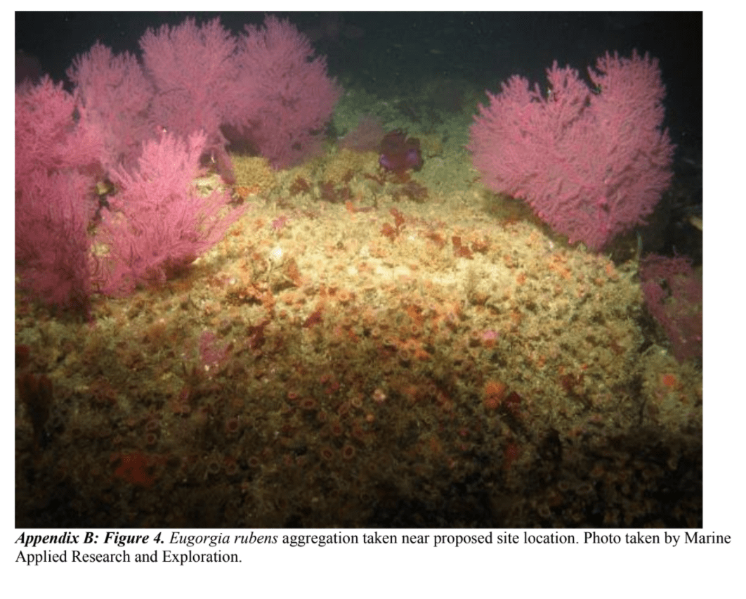 June 2016 - Cruise Report for ‘Patterns in Deep-Sea Corals’ Expedition 2016: NOAA ship Shearwater SW-16-08 29