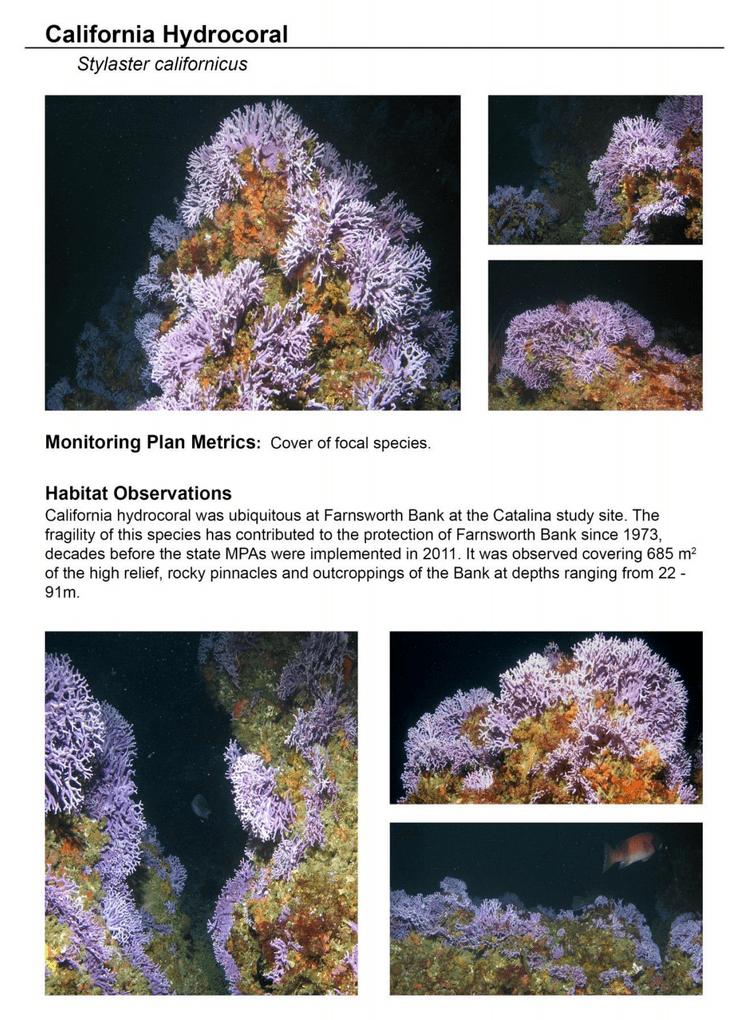Jan 2015 - South Coast Marine Protected Areas Baseline Characterization and Monitoring of Mid-Depth Rocky and Soft-Bottom Ecosystems (20-350m) 229