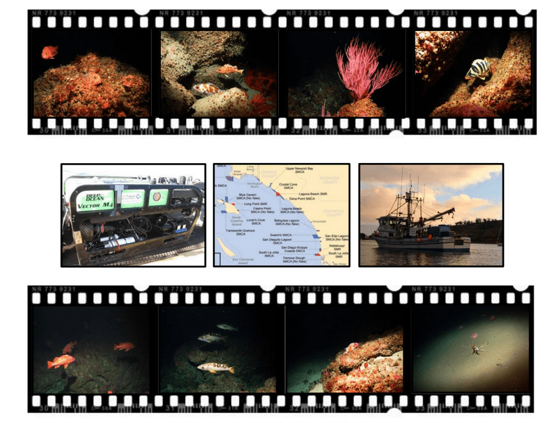 Jan 2015 - South Coast Marine Protected Areas Baseline Characterization and Monitoring of Mid-Depth Rocky and Soft-Bottom Ecosystems (20-350m) 56