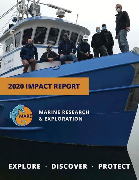 MARE Group 2020 impact report