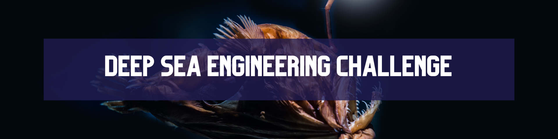 Deep-Sea Engineering program - 1