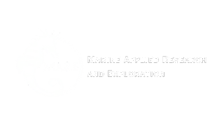 Marine Applied Research & Exploration Logo