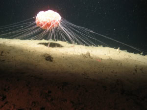 2025 Annual Impact Report 6