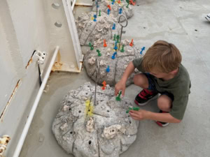 2025 Annual Impact Report 5