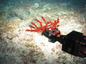 2025 Annual Impact Report 4