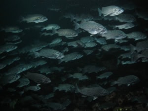 2025 Annual Impact Report 3